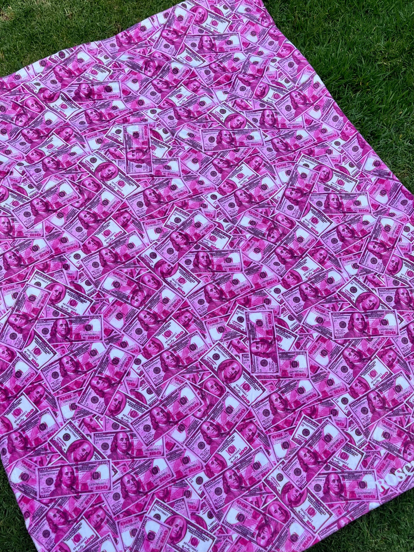 pink bills blanket